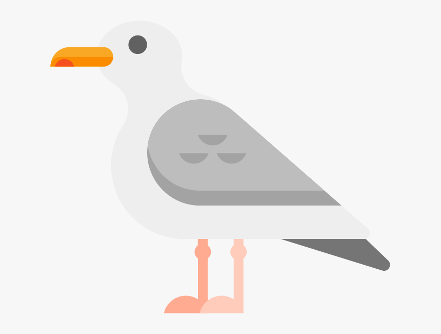 Seagull - Seabird, HD Png Download