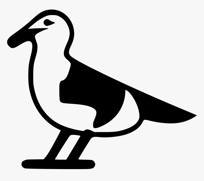 Seagull - Duck, HD Png Download