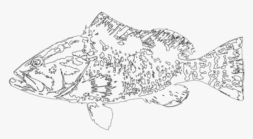 Ecology , Png Download - Snapper, Transparent Png