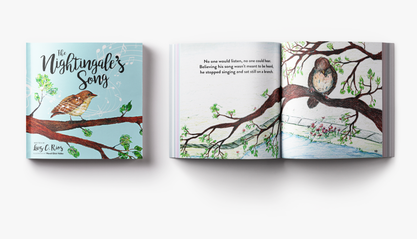 Partridge, HD Png Download