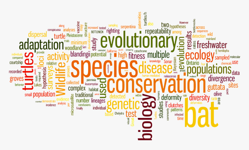 Conservation Biology, Molecular Ecology And Population - Nuage De Mot Accident De Travail, HD Png Download