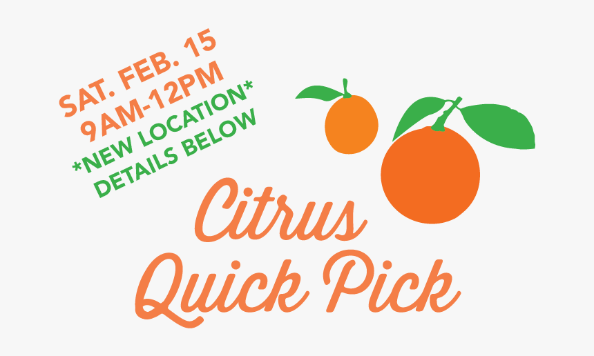 2020 Citrus Quick Pick - Illustration, HD Png Download
