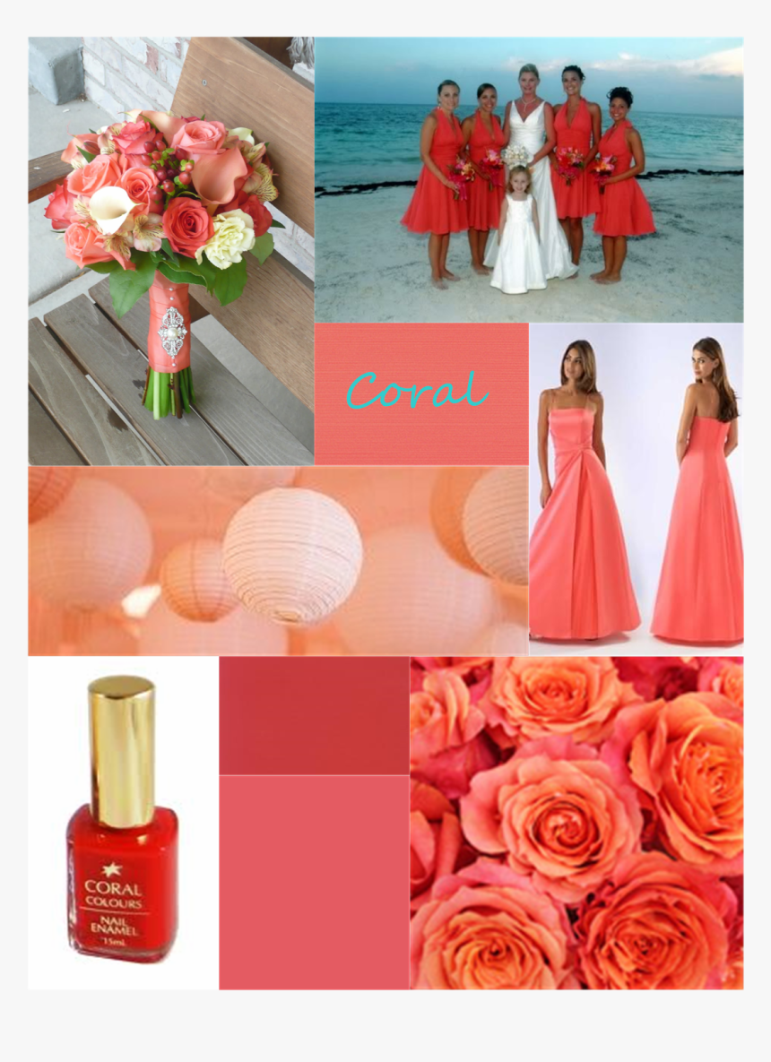 Garden Roses, HD Png Download