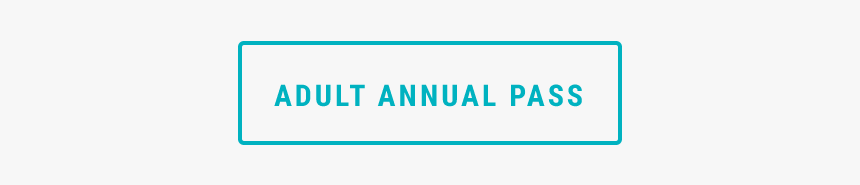 Vbg Web Purchase Buttons Adult Annual Pass, HD Png Download