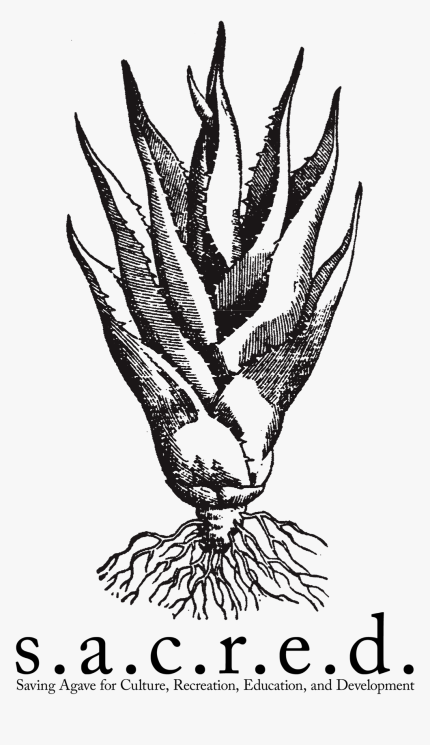 Sacred Logo Tall - Sacred Agave, HD Png Download