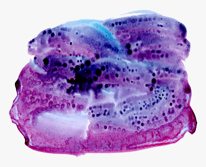 Buttercream, HD Png Download