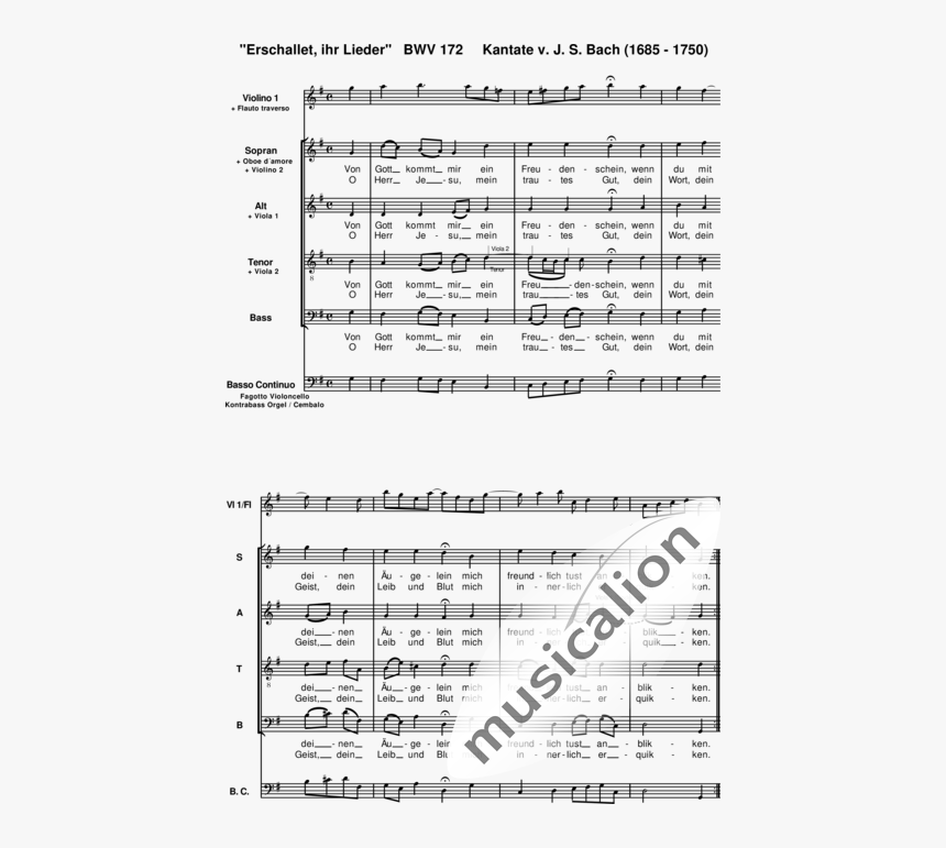 Bach, Johann Sebastian - Music, HD Png Download