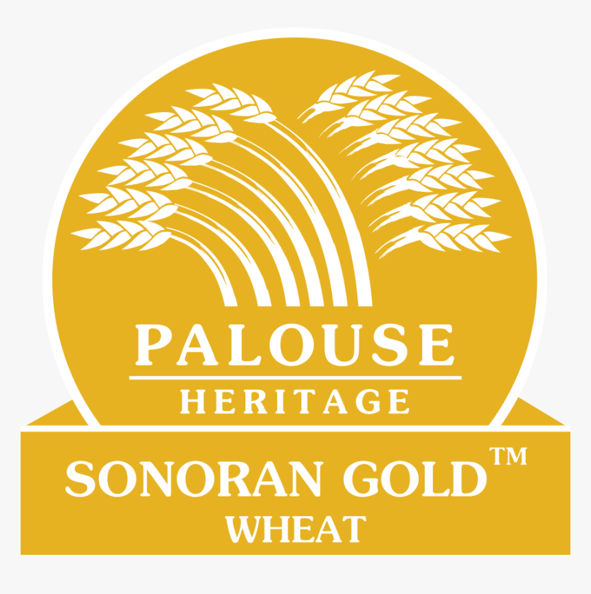 Sonorangoldlogo - Portable Network Graphics, HD Png Download
