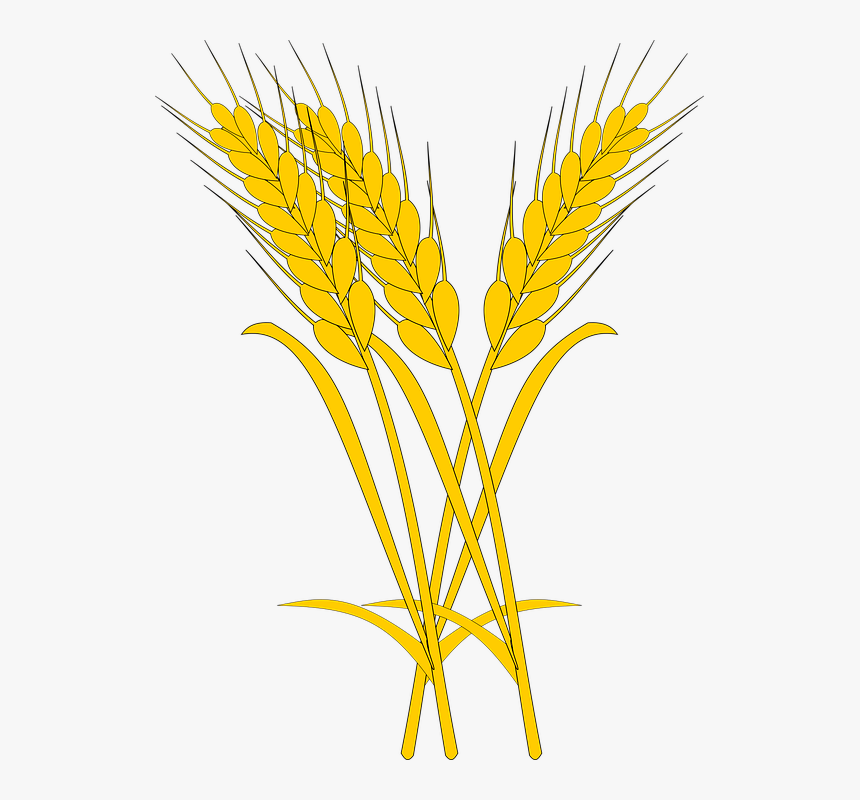Illustration, HD Png Download