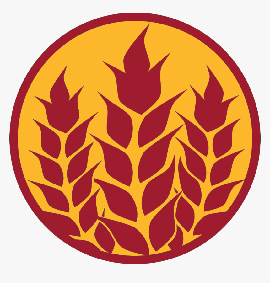 Wheat, HD Png Download