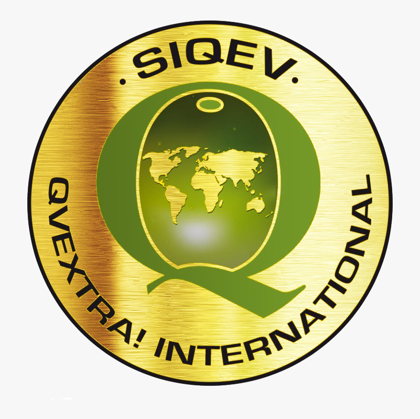 Qvextra - Circle, HD Png Download