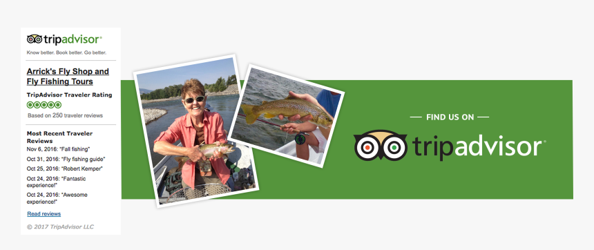 Tripadvisor Llc, HD Png Download