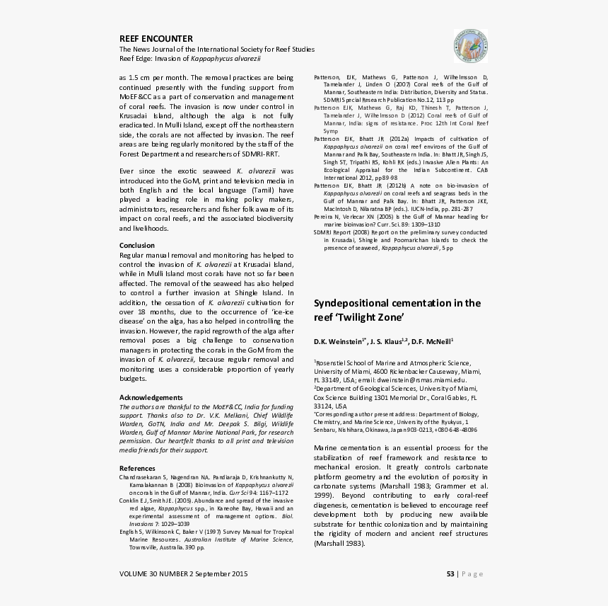 Document, HD Png Download