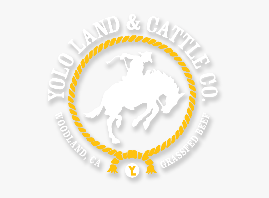 Yolo Land And Cattle Co - S & J, HD Png Download