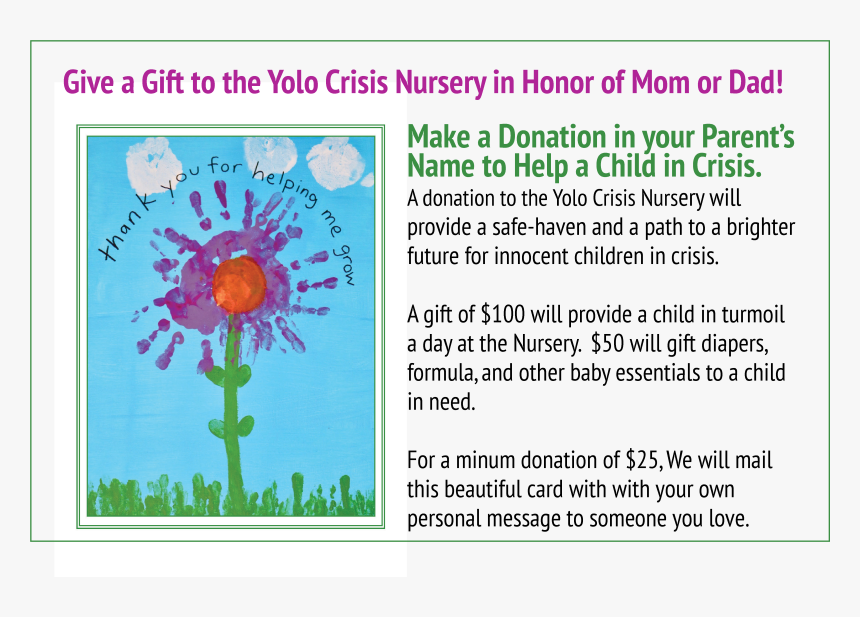 Floral Design, HD Png Download