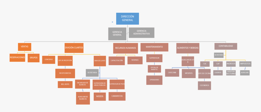 Recursos Humanos Ingreso De Personal Del Hotel Casa - Organigrama De Un Hotel Auditor Nocturno, HD Png Download