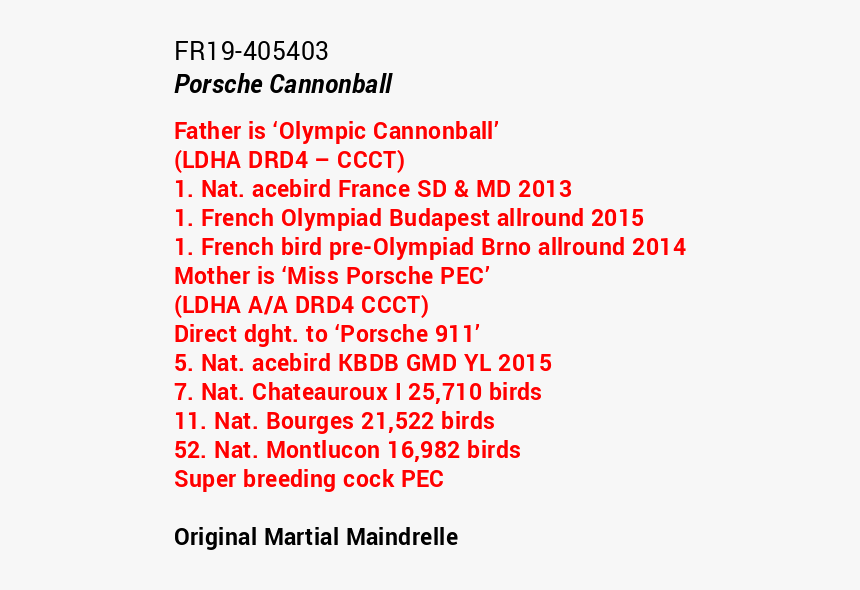 Document, HD Png Download