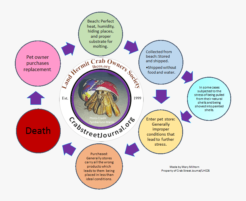 Circle, HD Png Download