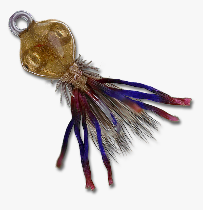 Hermit Crab - House Fly, HD Png Download