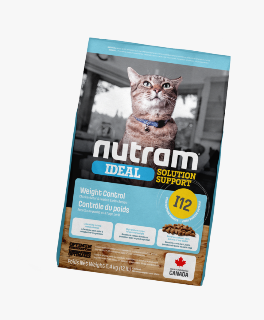 Flyer, HD Png Download