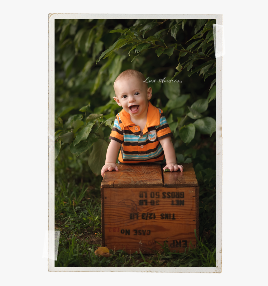 Harford County Baby Photographer Jen Snyder Of Lux - Toddler, HD Png Download