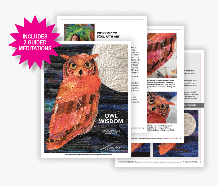 Eastern Screech Owl, HD Png Download