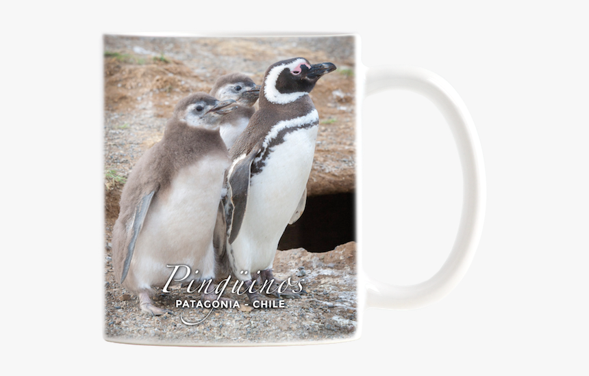 Tazon Ceramico Pat Pinguino Magallanico Y Crias - Penguin, HD Png Download