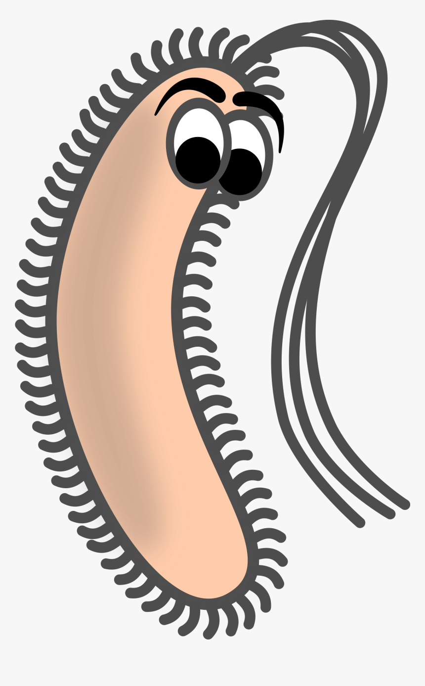 Bacteria Png Pic - Bacillus Clipart, Transparent Png