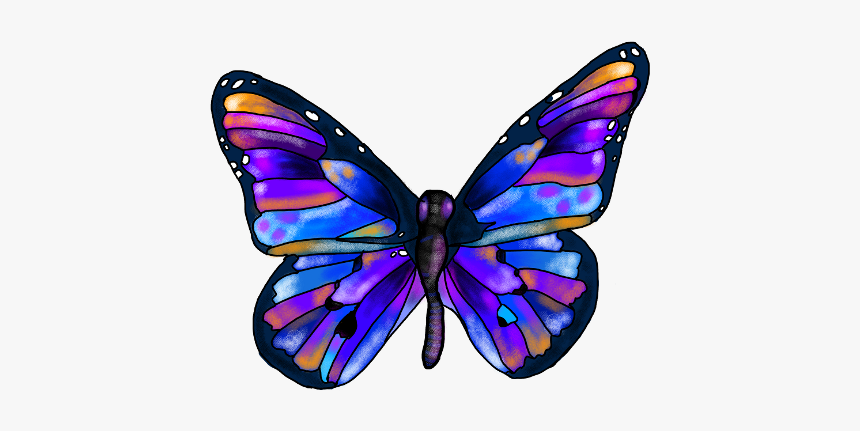 Rainbow Butterfly Clipart Picsart - Butterfly Picsart, HD Png Download