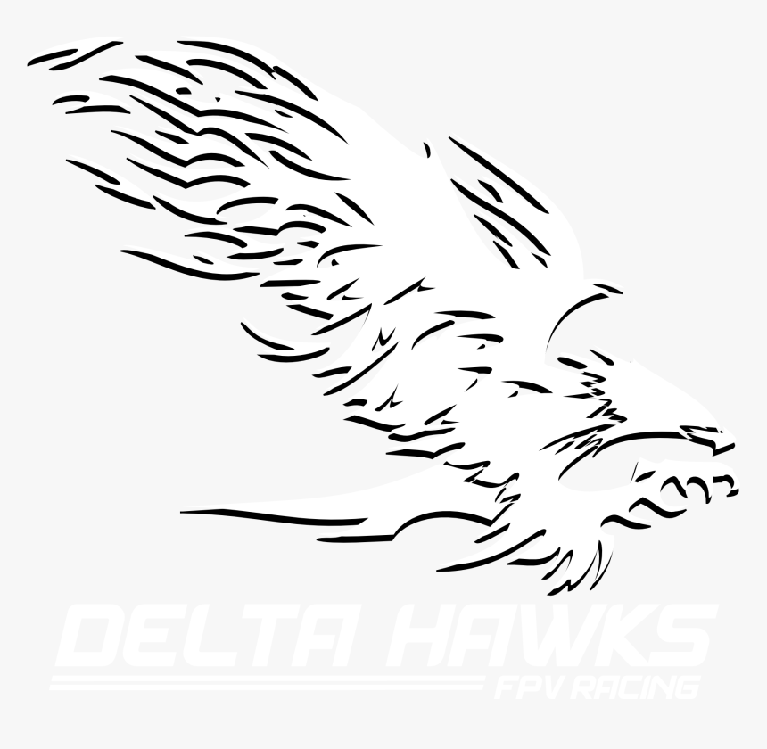 Hawk, HD Png Download