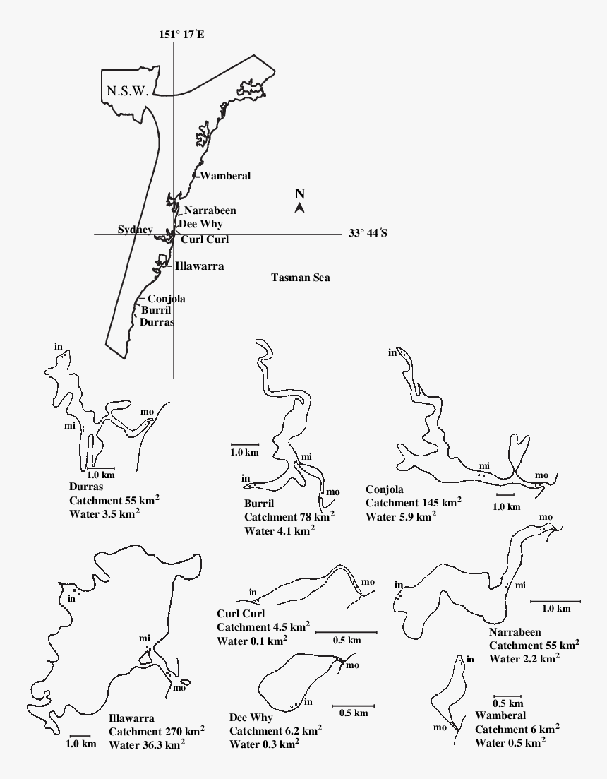 Diagram, HD Png Download