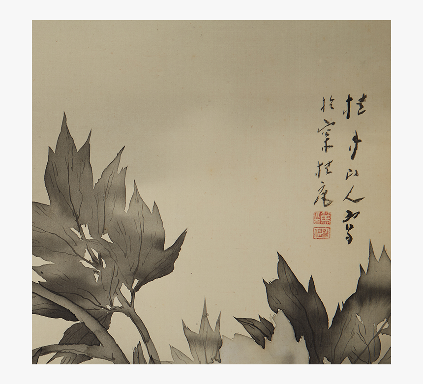 Silver Maple, HD Png Download