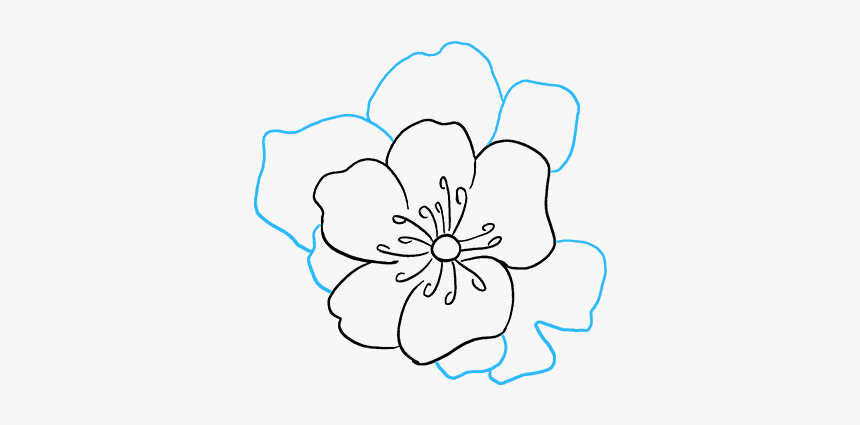 Hibiscus, HD Png Download