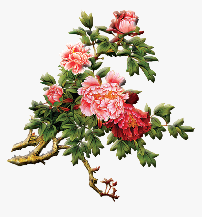 Chinese Painting Peony Png Transparent Png Transparent Png Image Pngitem