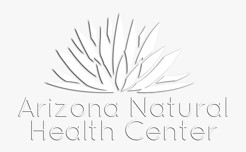 Logo - Graphic Design, HD Png Download