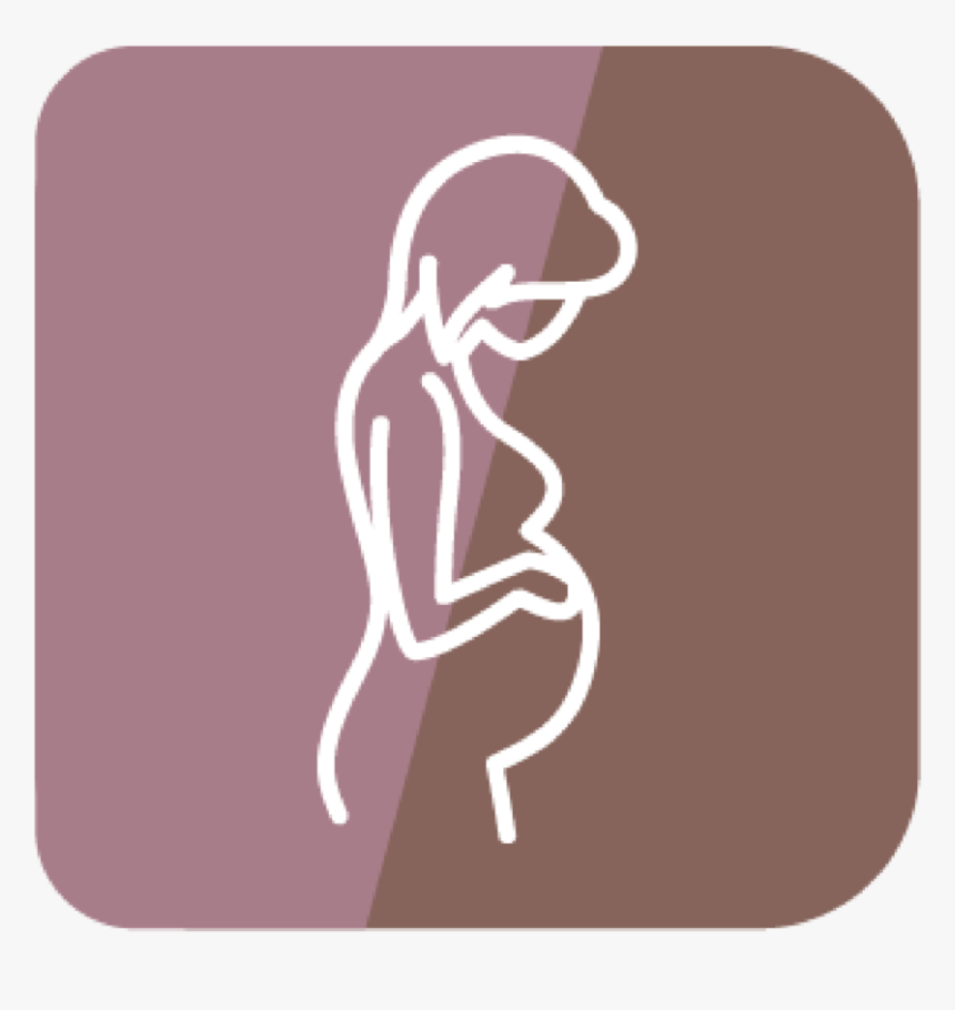 Icons-13, HD Png Download