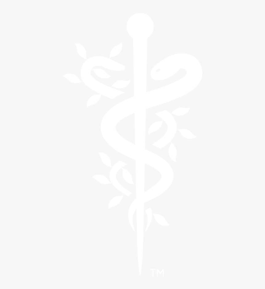 Synergasia Logos White Icon - Johns Hopkins Logo White, HD Png Download