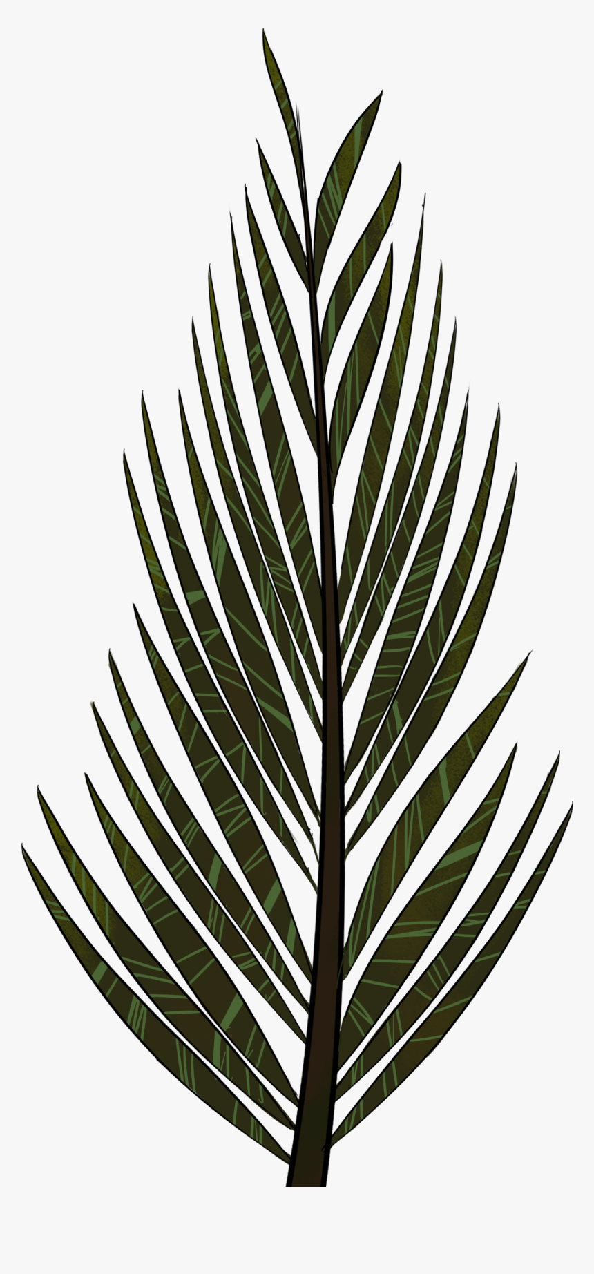 Thumb Image - Pine Tree Leaves Drawing, HD Png Download