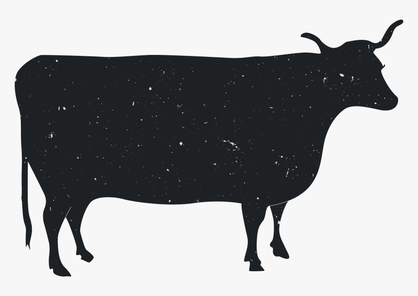 Animal Silhouette Dairy Cattle - Cow Silhouette Png, Transparent Png