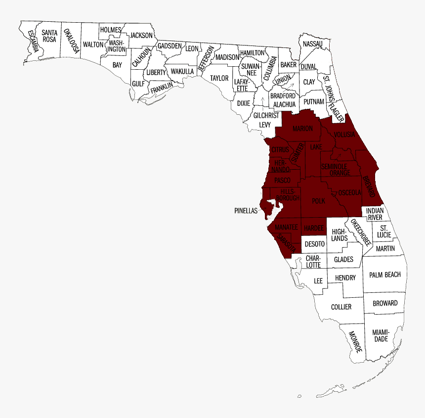 Tampa Bay Area Service Area - Latitude Map Of Florida, HD Png Download