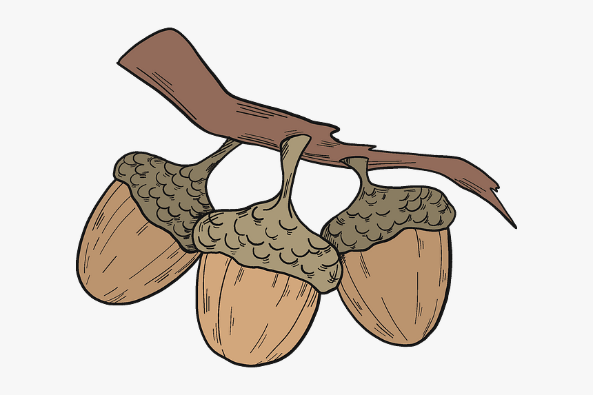 Illustration, HD Png Download