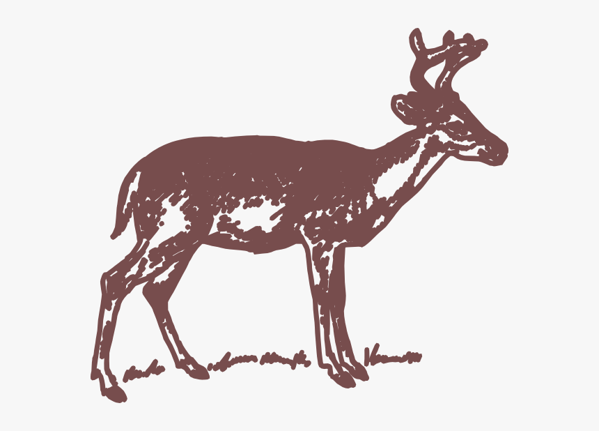 Transparent Deer Deer Wildlife Reindeer Clipart For - Clip Art Black And White Deer, HD Png Download