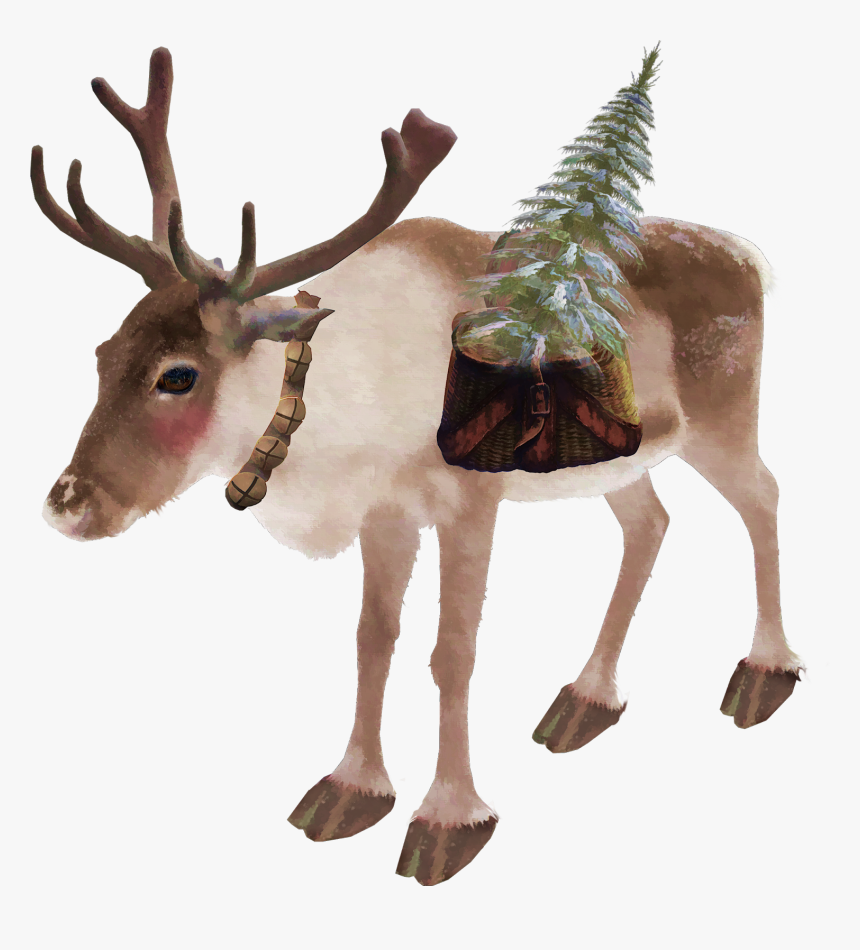 Reindeer, HD Png Download