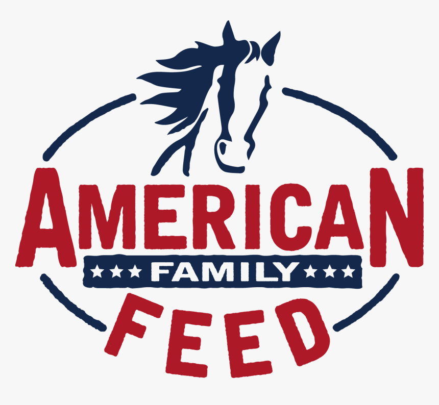 Stallion, HD Png Download