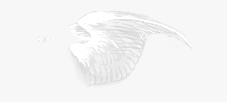 Darkness, HD Png Download