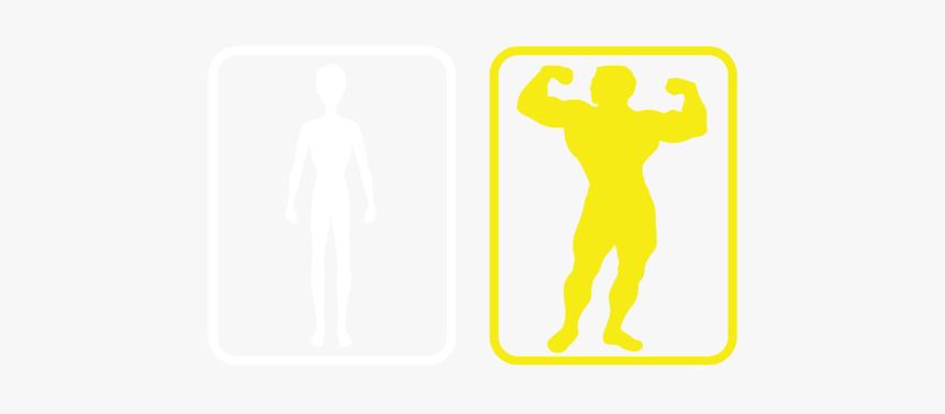 Bodybuilding, HD Png Download
