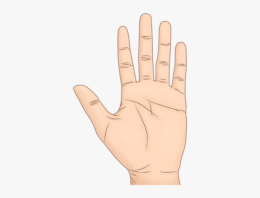 Sign Language, HD Png Download