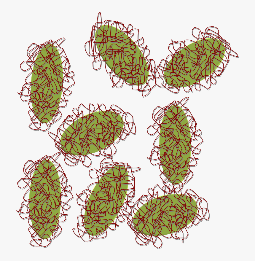 Laponite Peg - Icon, HD Png Download