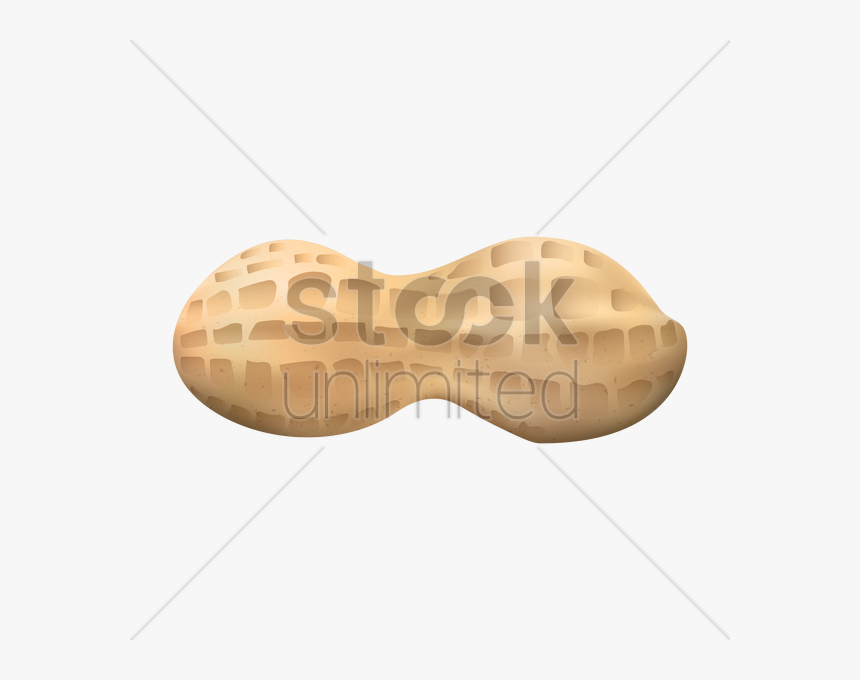 Peanut Clipart Nutshell - Illustration, HD Png Download