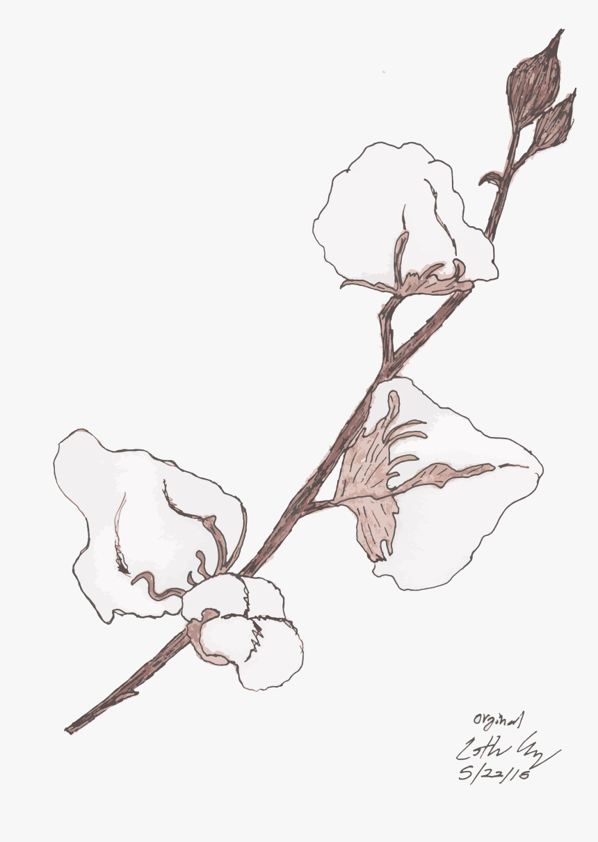 Sketch, HD Png Download